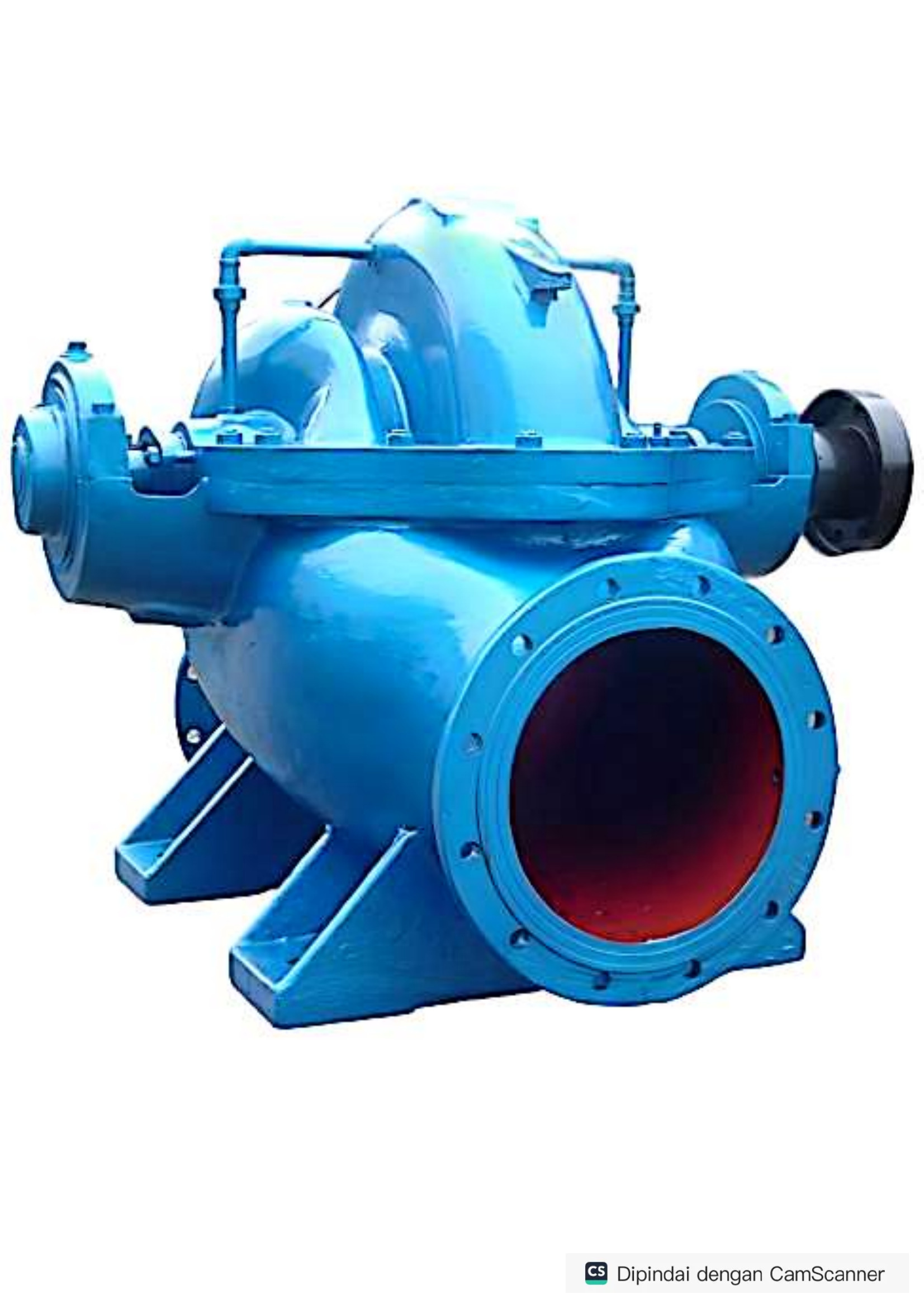 Pompa double-suction WS — gambar katalog 1